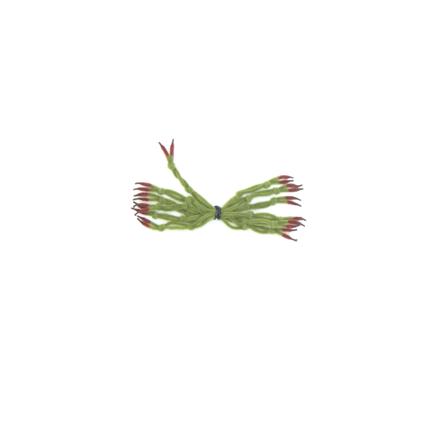 EP Crab Claw