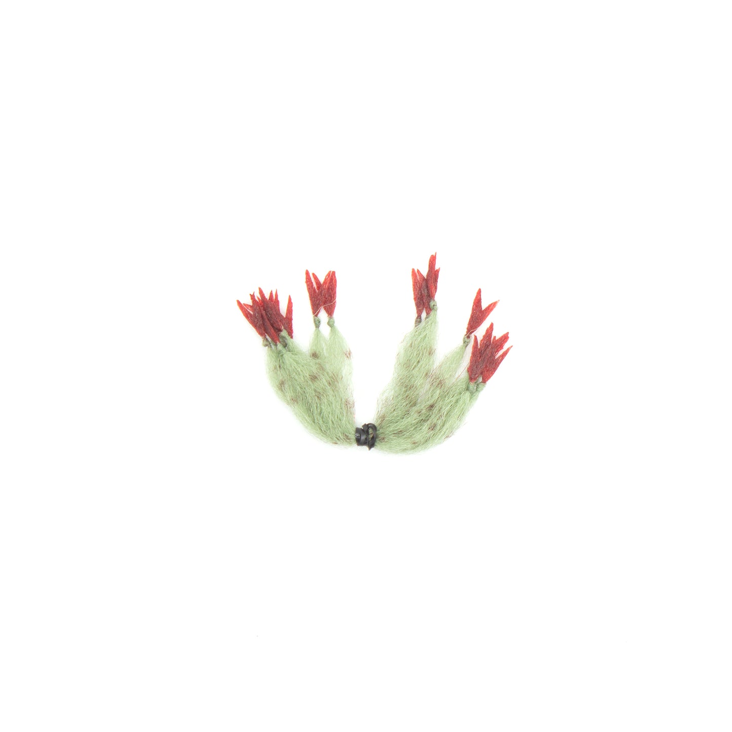 EP Crustaceous Claw