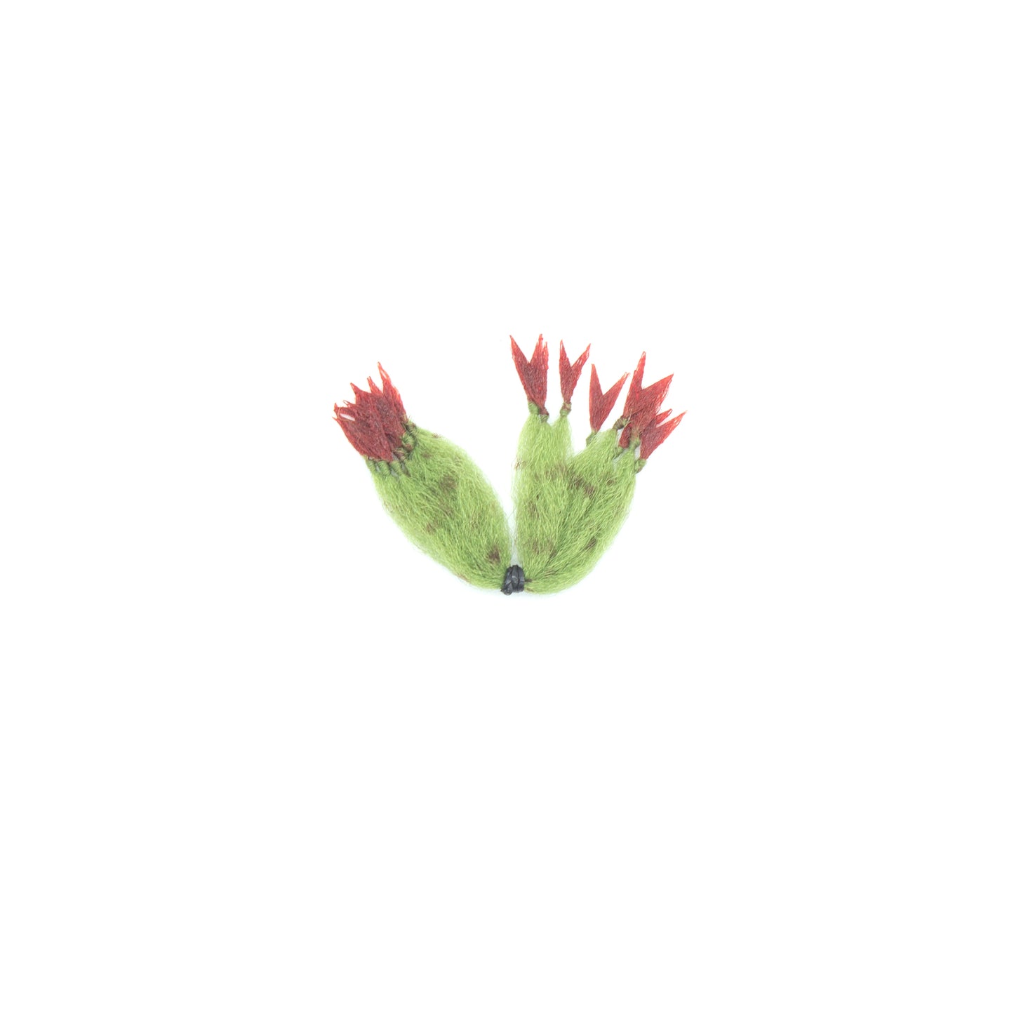 EP Crustaceous Claw