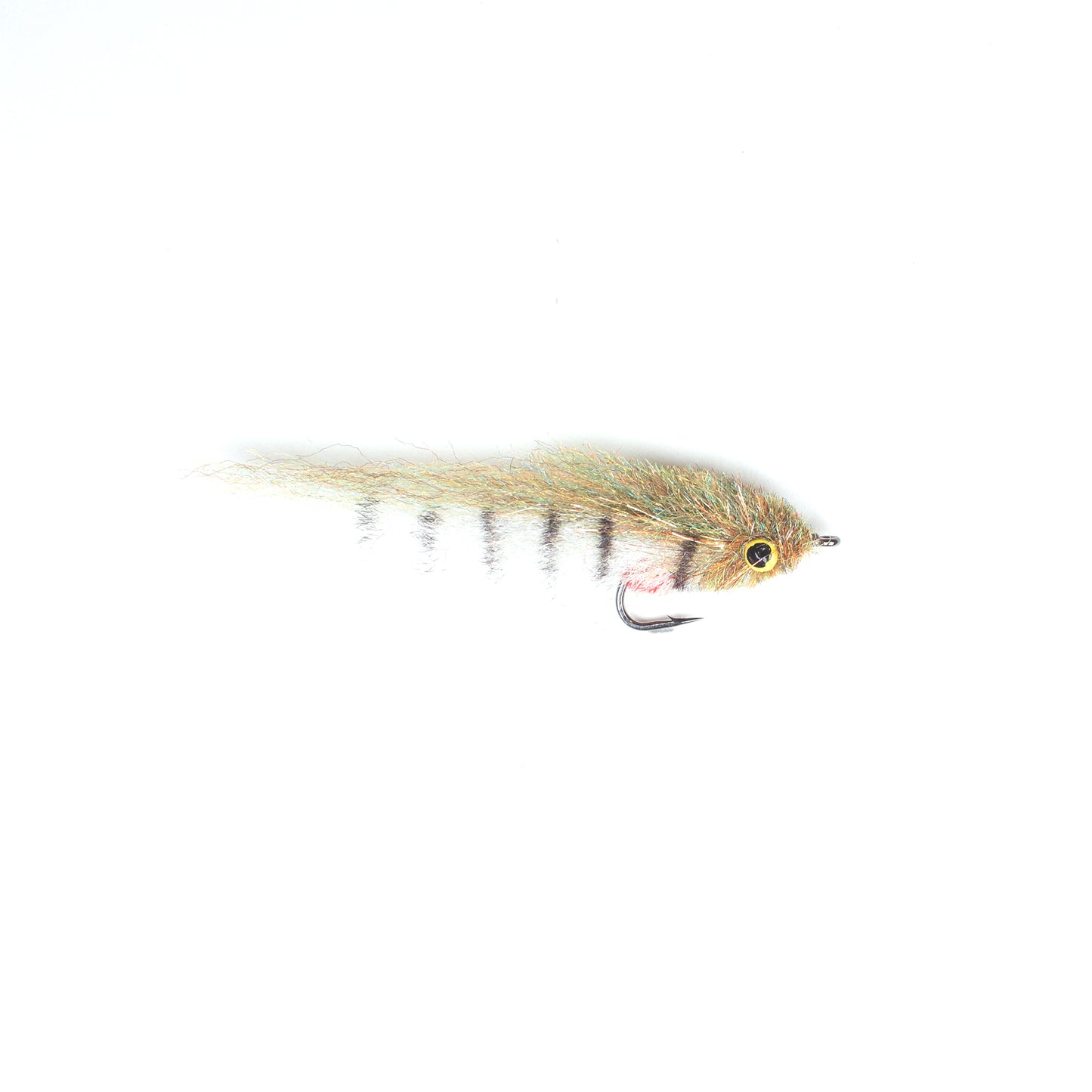 EP Little Minnow