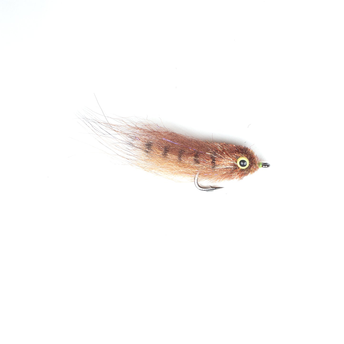 EP Mud Minnow