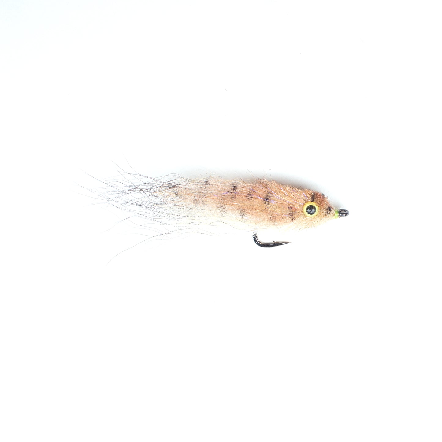 EP Mud Minnow