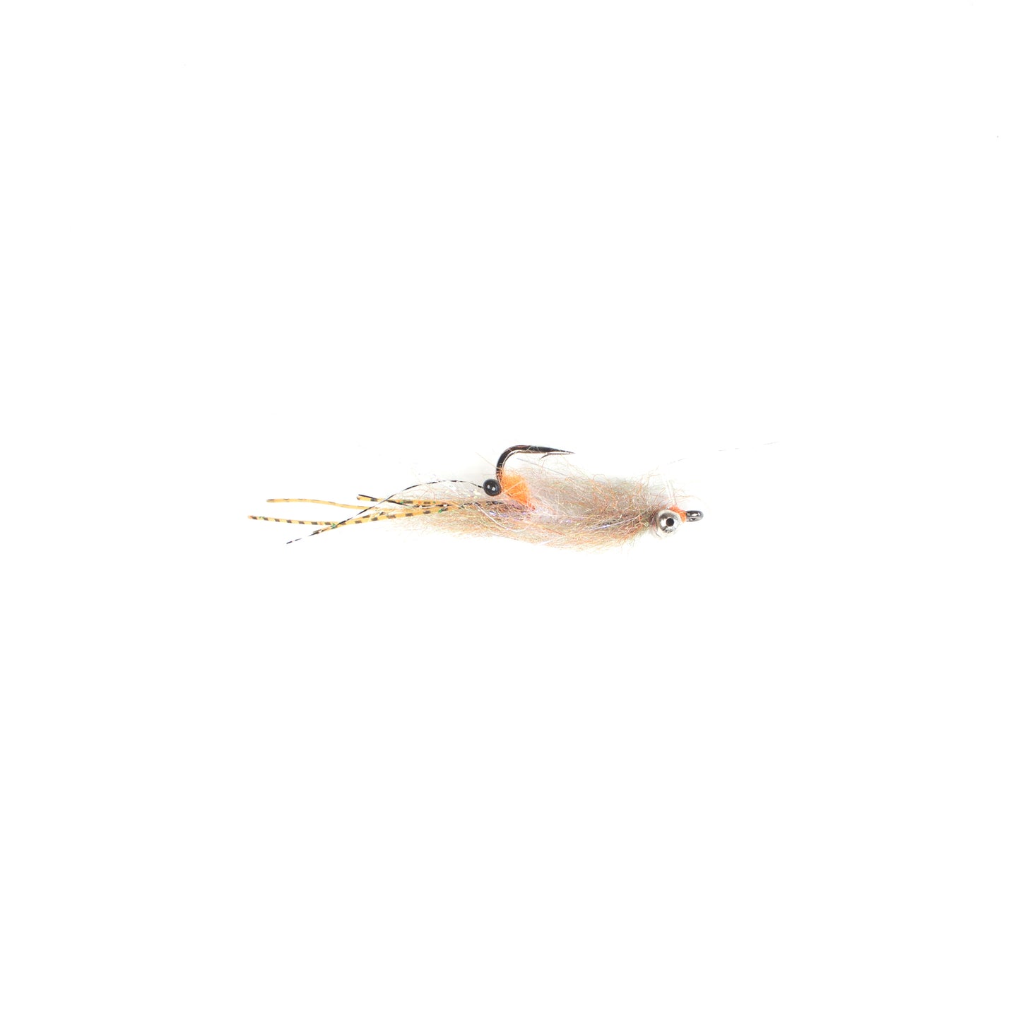 EP Spawning Shrimp #4