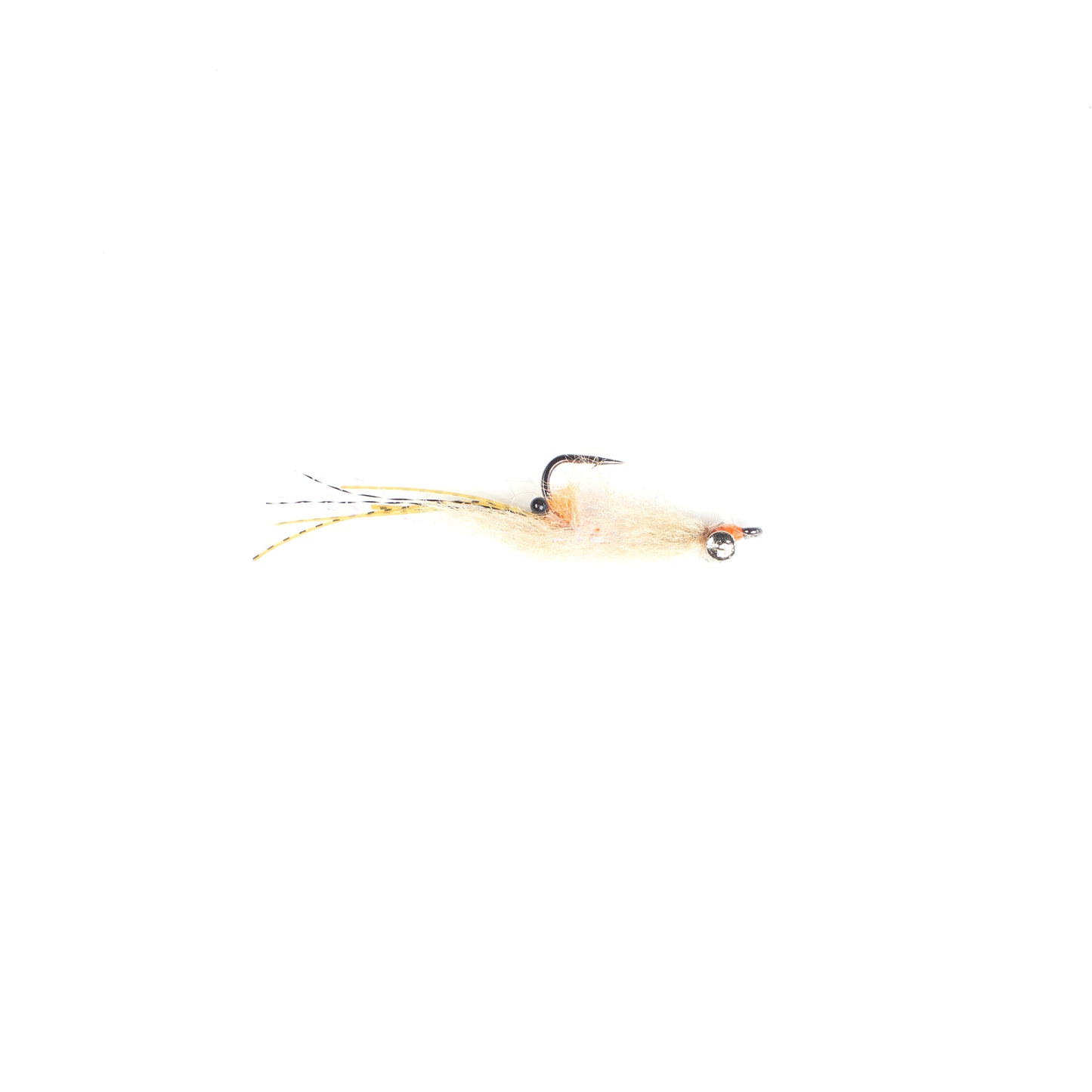 EP Spawning Shrimp #4