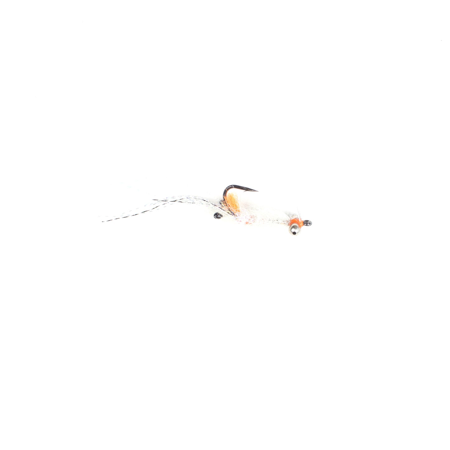 EP Spawning Shrimp #4