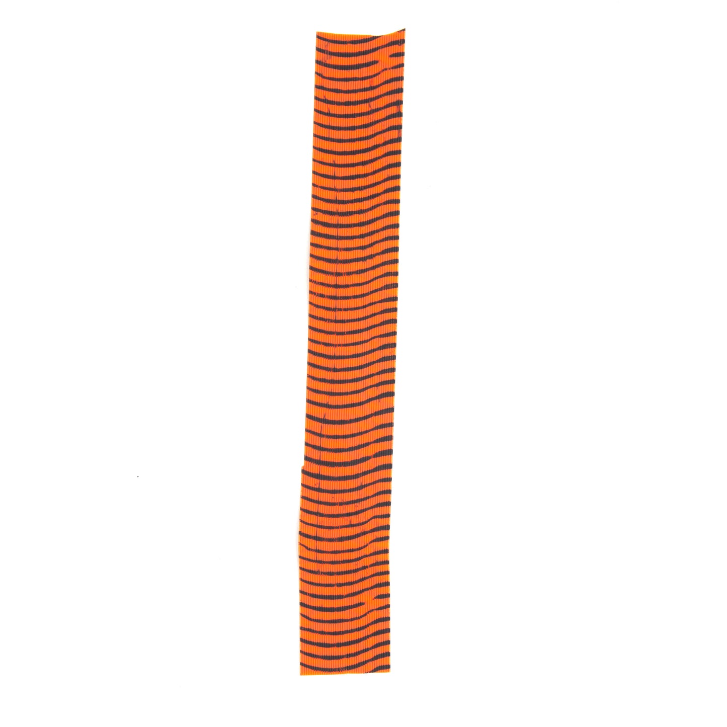 Tarantula-Leggs