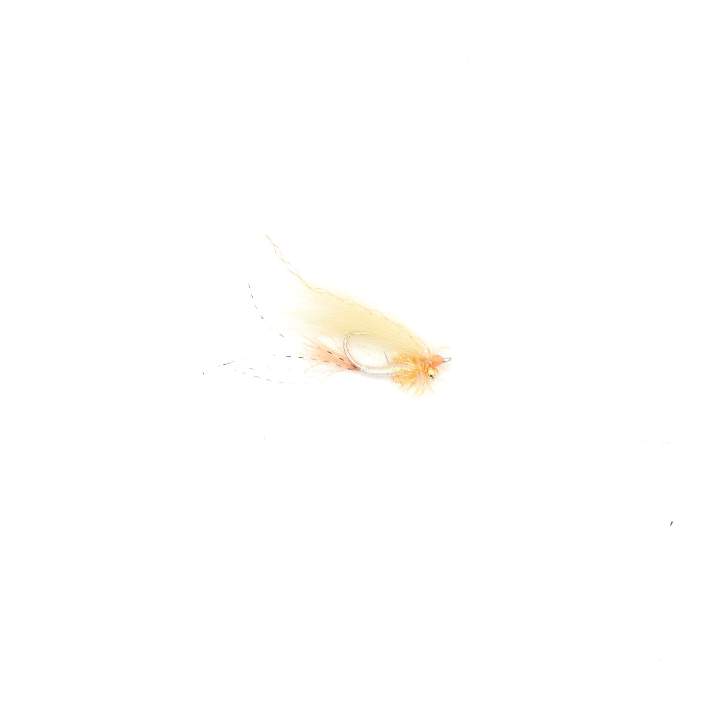 Chewy's Cylops