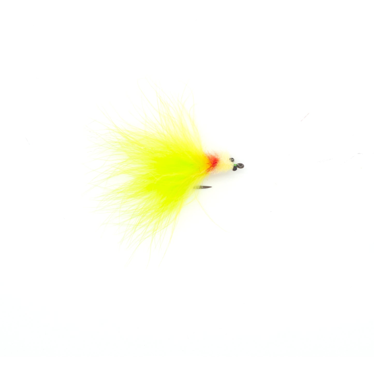Keys Tarpon Toad