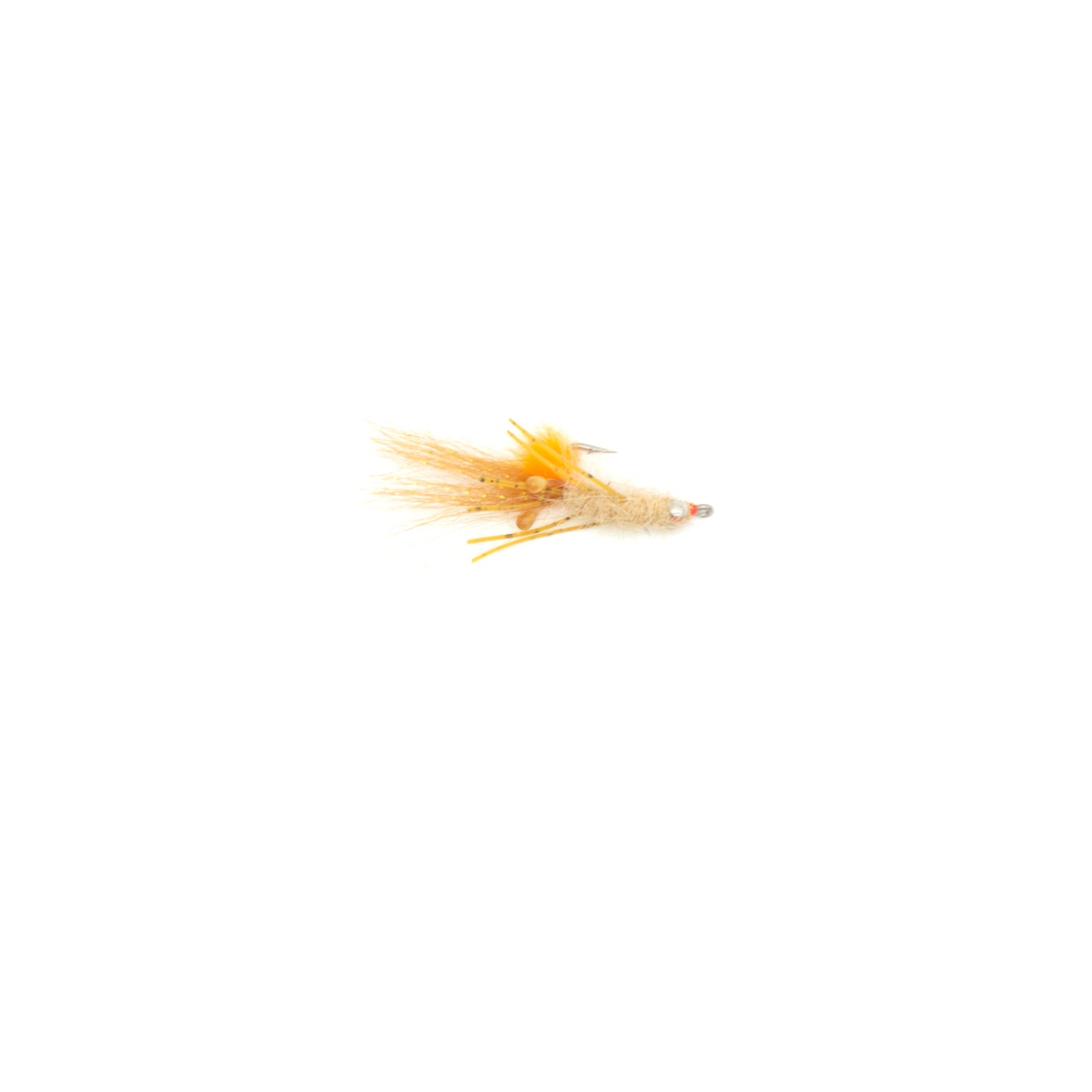 Veverka's Spawning Mantis Shrimp