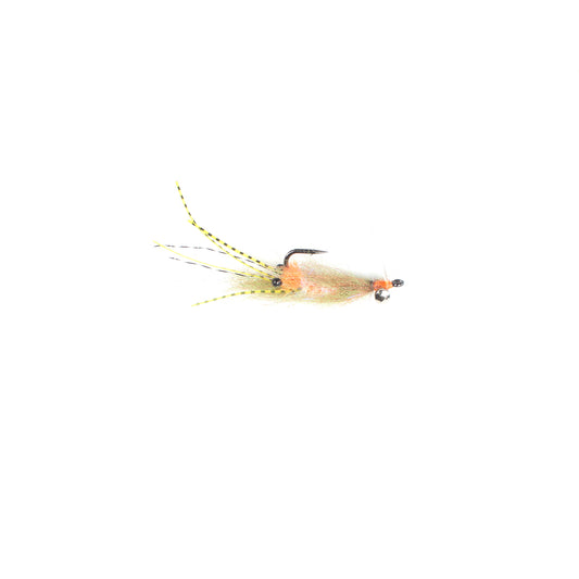 EP Spawning Shrimp #4