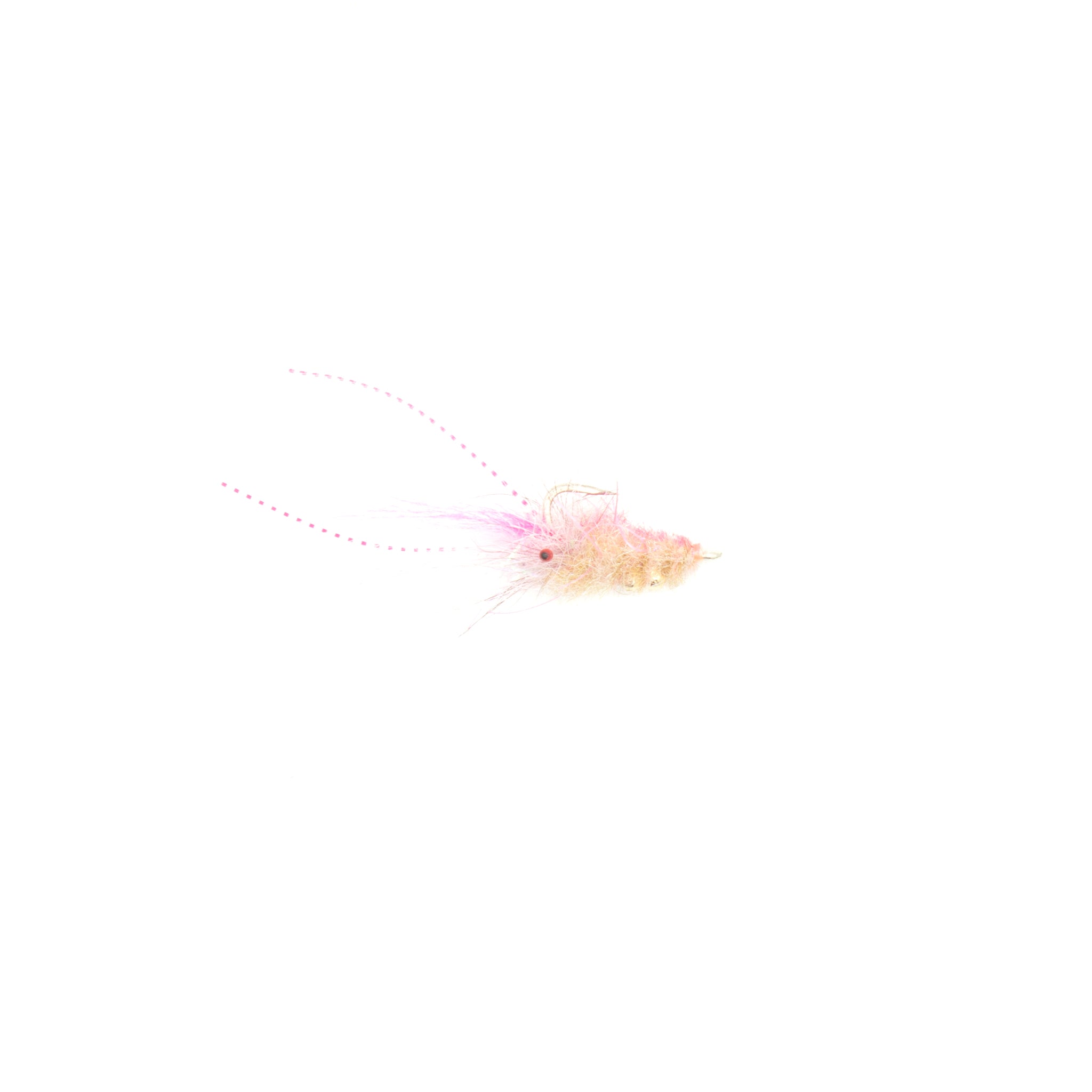 Chewy's Cyborg Shrimp