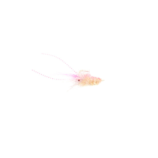 Chewy's Cyborg Shrimp