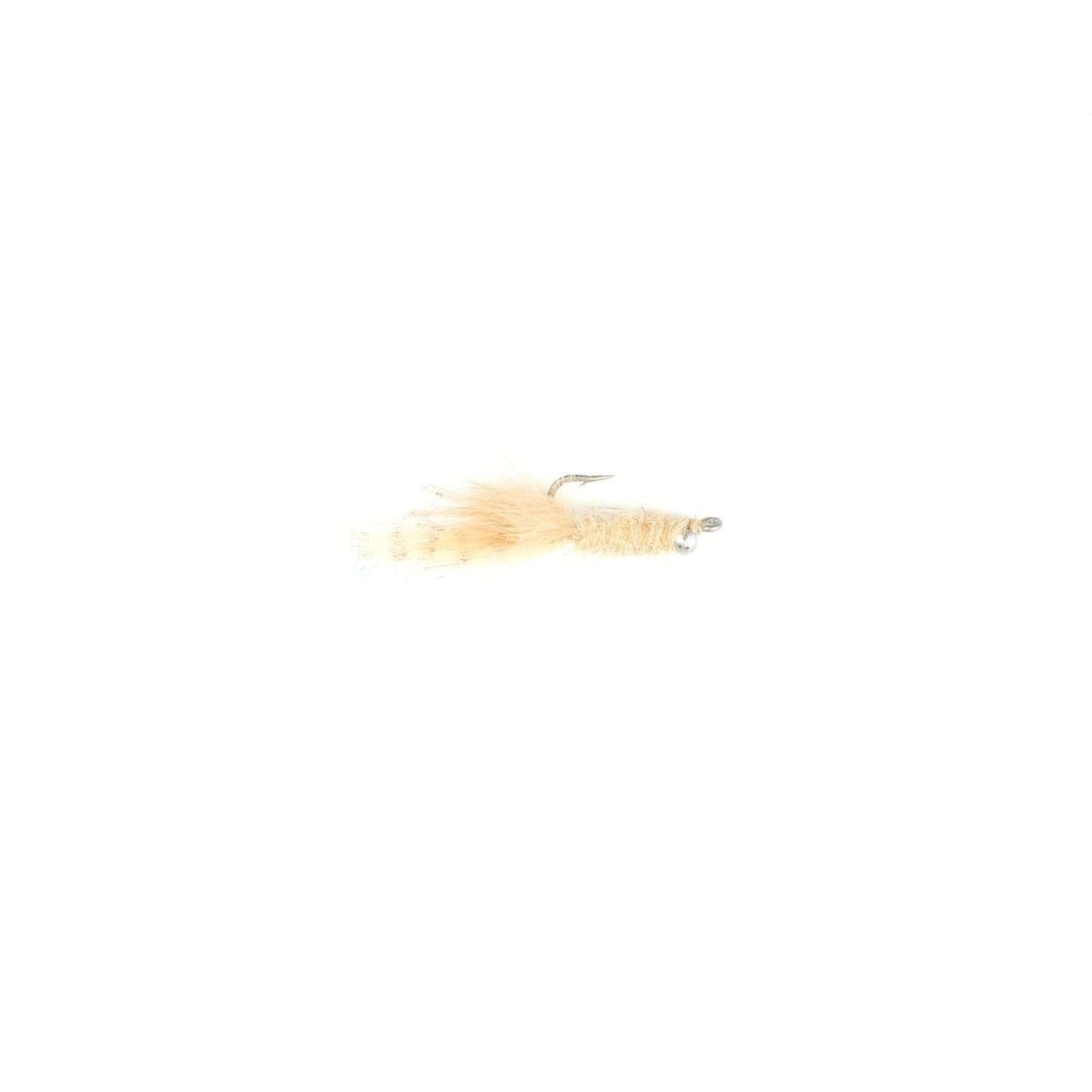 Veverka's Ghost Shrimp