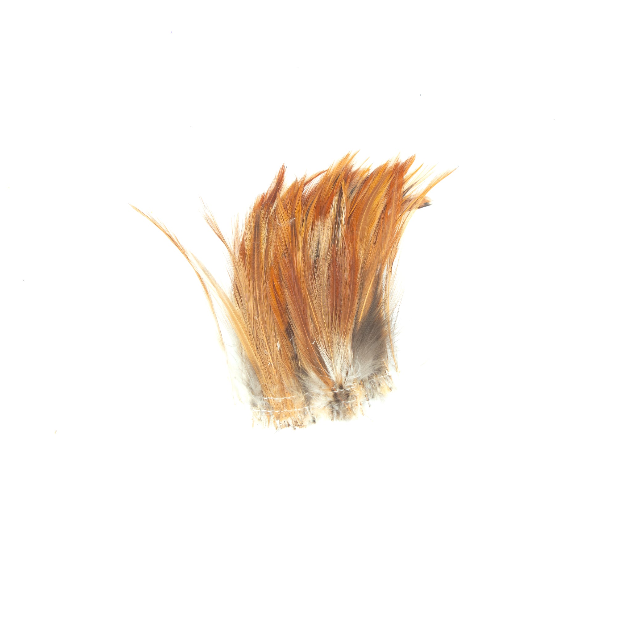 Wapsi Strung Neck Hackle